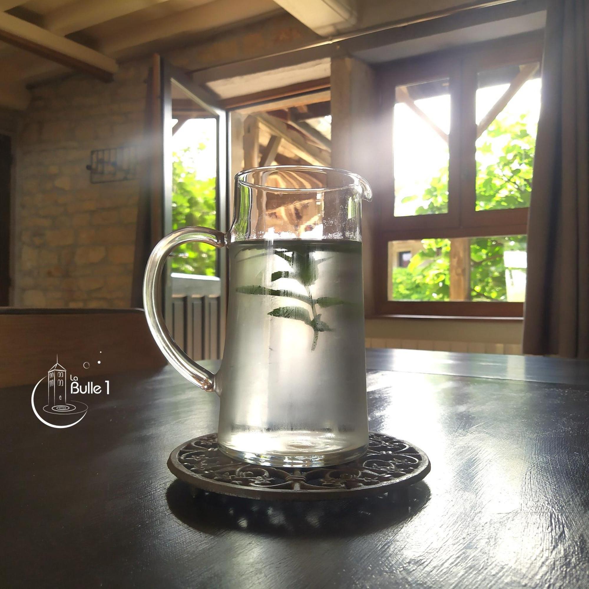 La Bulle De Chapaize Villa Екстериор снимка